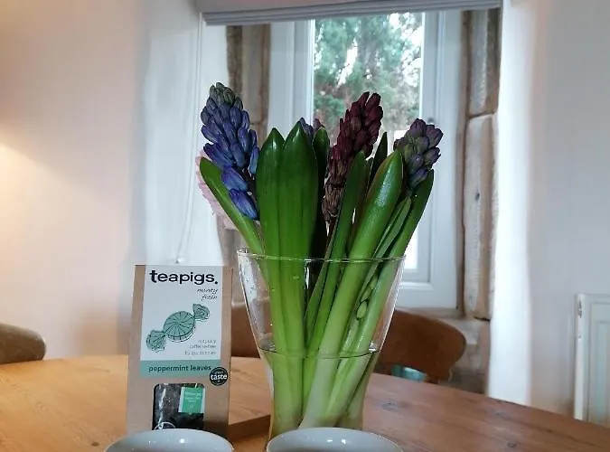 Our House Yorkshire , - Children And Doggy Friendly Bentham